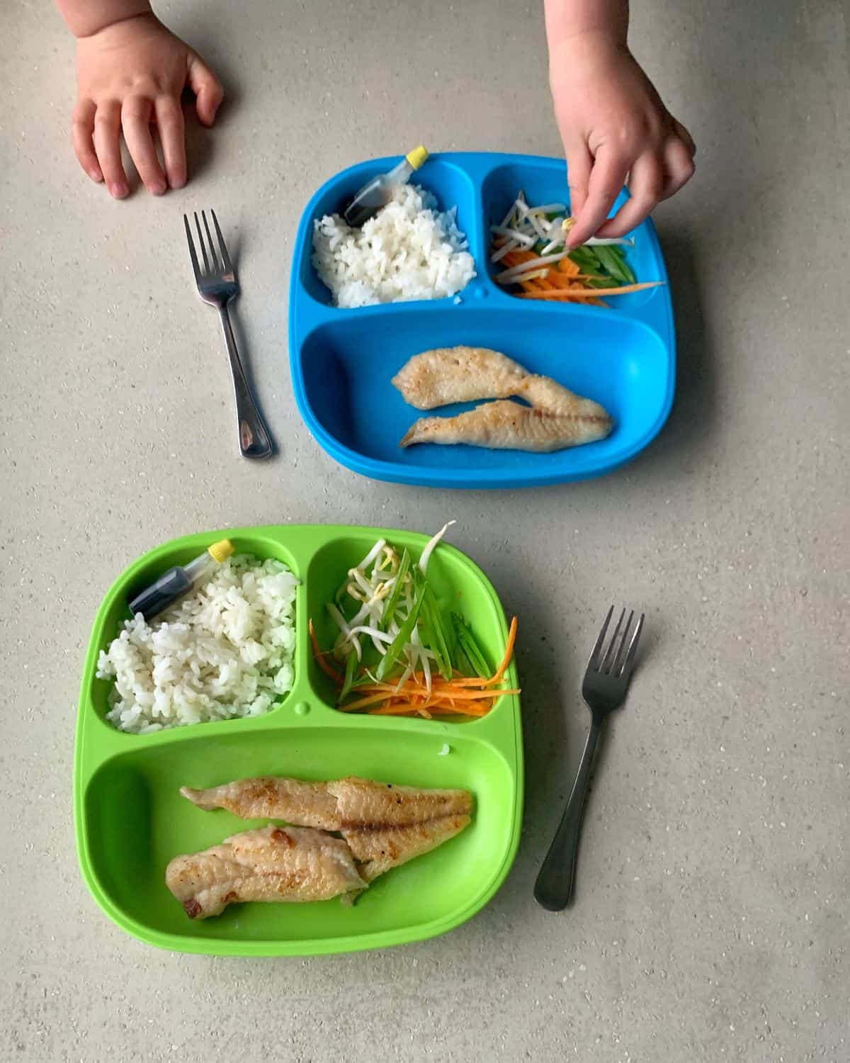 Two divided plates with rice, pan fried fish with Thai green curry sauce, and sliced vegetables sit on a table, as a child’s hands reach for the blue plate; two forks are placed beside the plates.