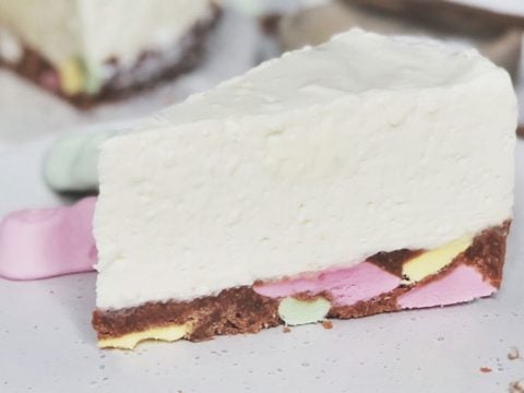 lolly log cheese cake