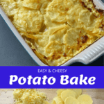 Cheesy potato bake and the ingredients used to make it on a grey bench.