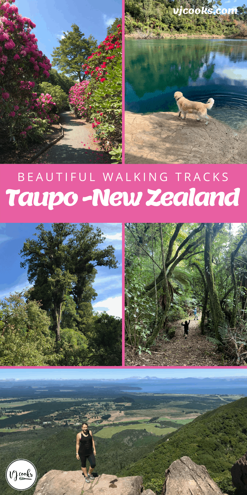 Taupo walks and walking tracks 