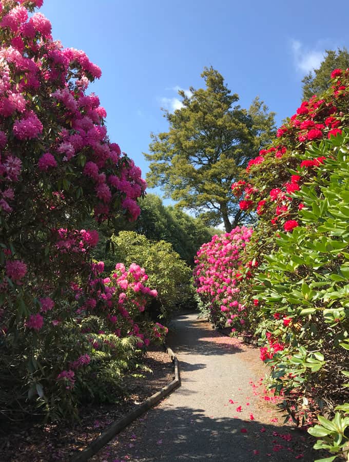 Waipahihi Botanic Gardens