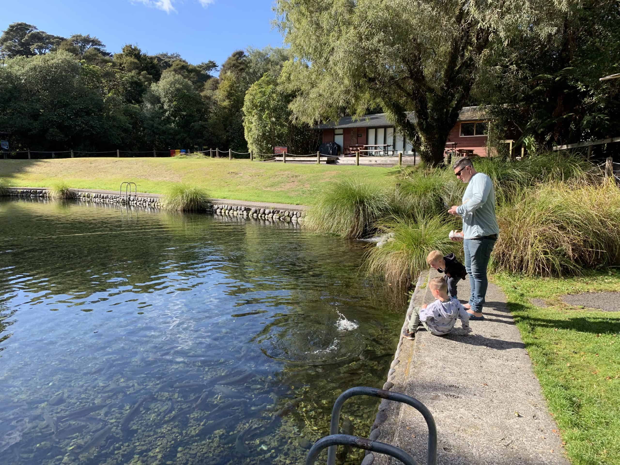 Trout centre