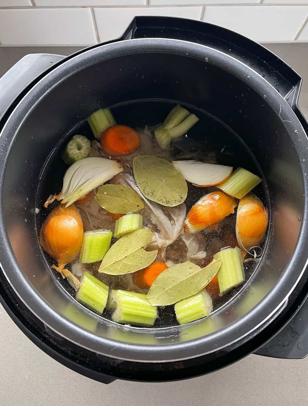 Multi Cooker Chicken Stock