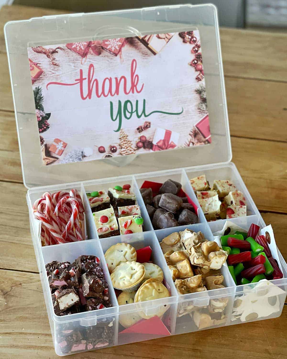 A large plastic box filled with different Christmas treats and slices.