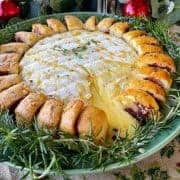 A close up of a gooey brie circle, surrounded by cooked garlic bread on a great plate.