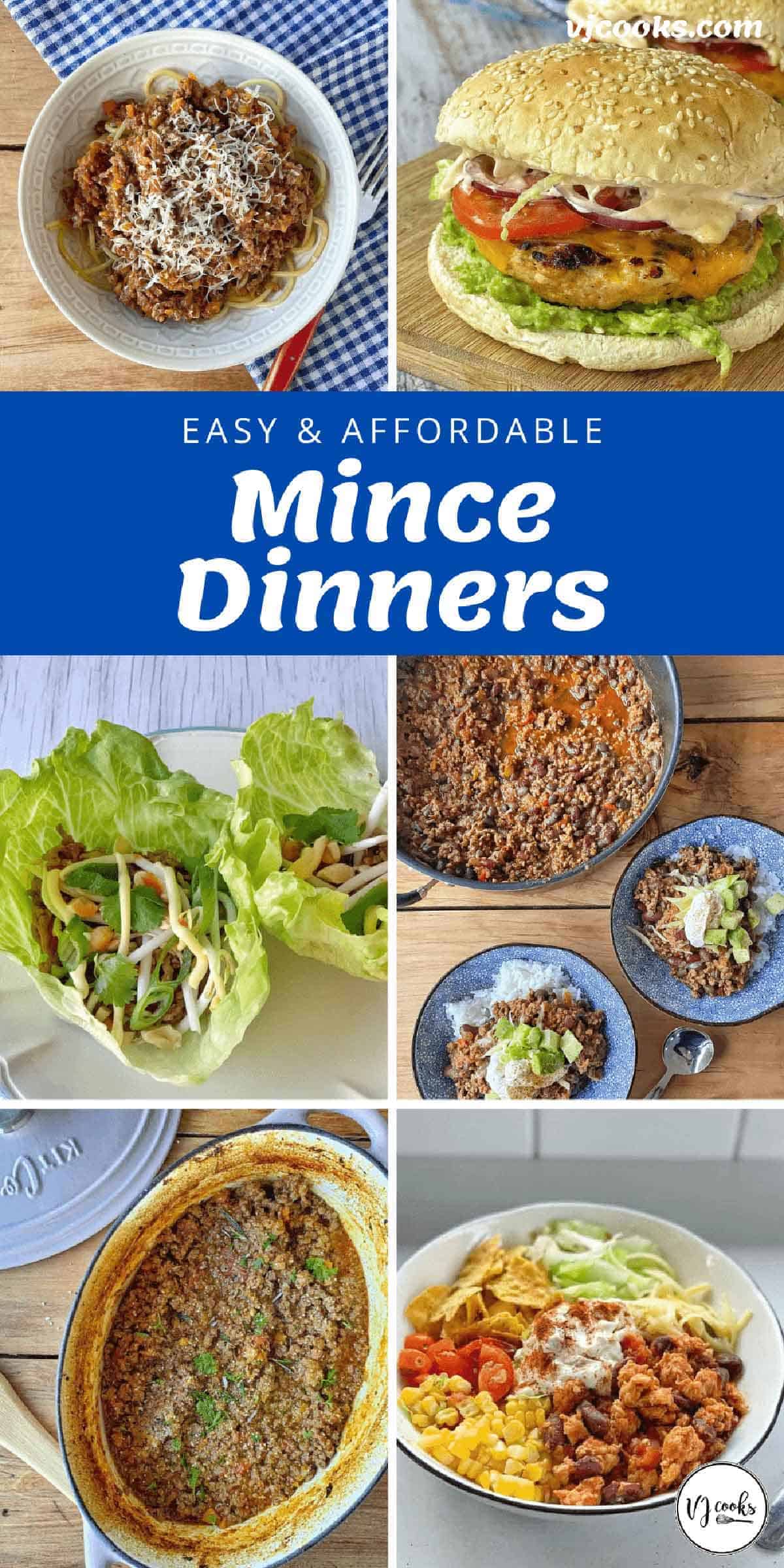 A collection of mince recipes 