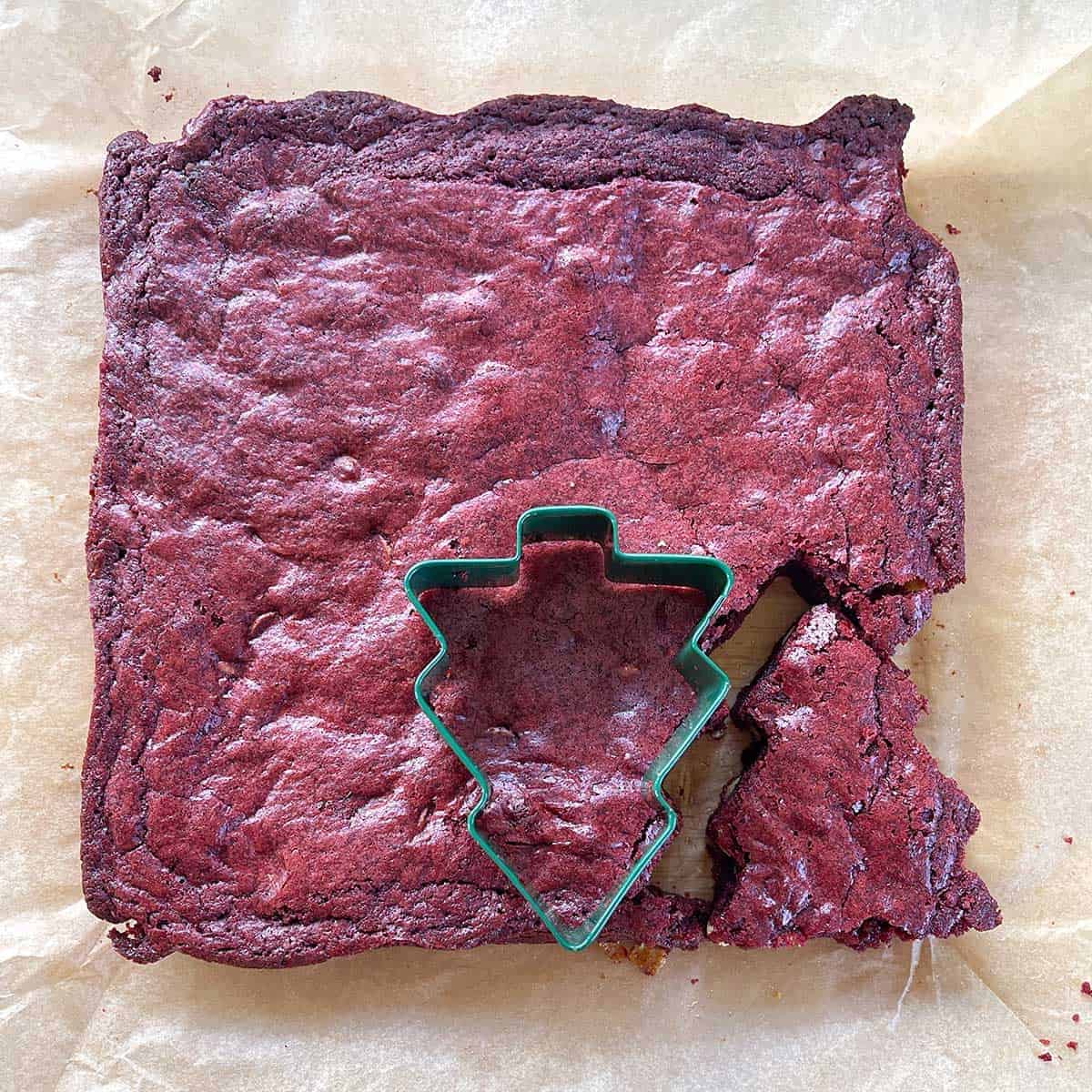 Red Velvet Brownie being cut with a xmas tree cookie cutter.