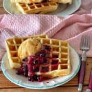 Two waffles sitting on a plate served with icre cream and berry coulis.