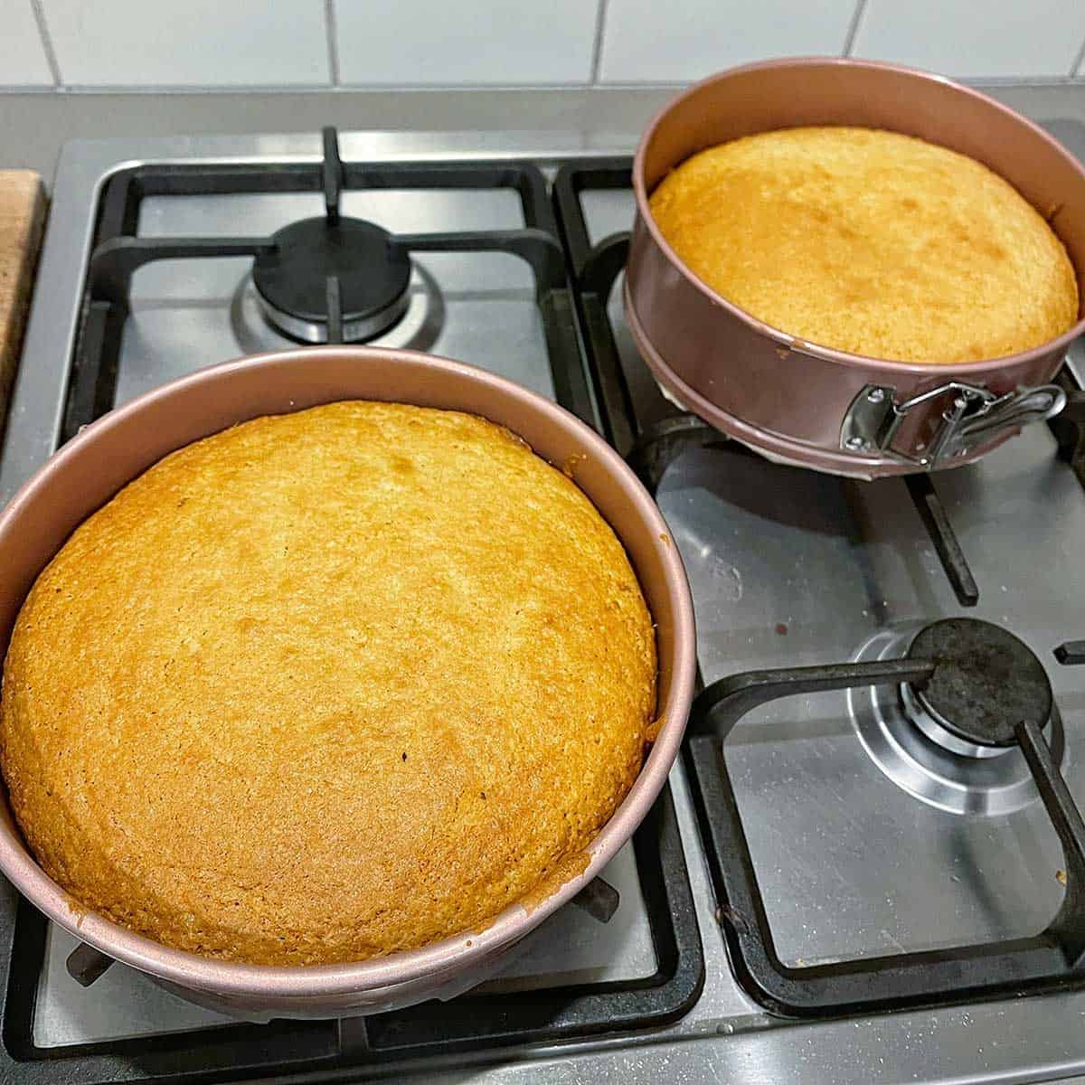 Two vanilla cakes in springform tins cooling on a stove top.