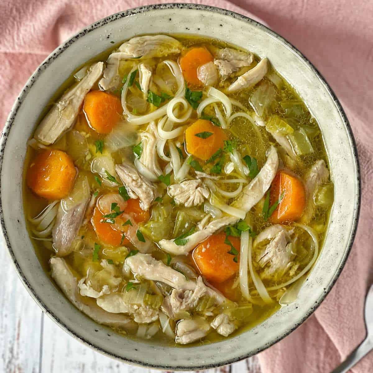 Chicken Noodle Soup - VJ Cooks