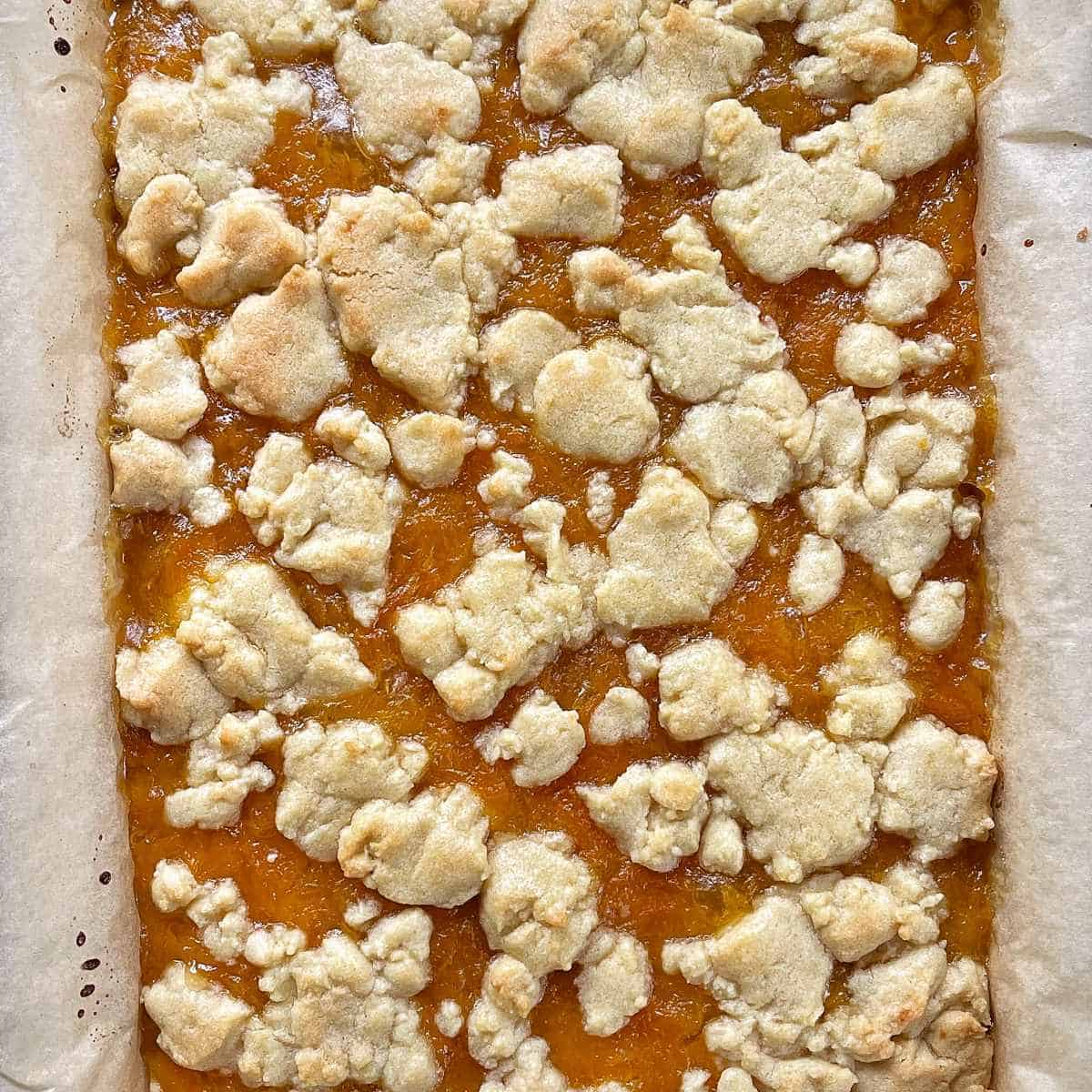 Cooked Baked Apricot Slice still in the lined baking tin,