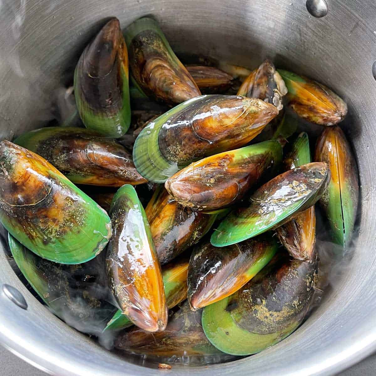 Mussels streaming in a large pot with onion, white wine, vinegar and stock.