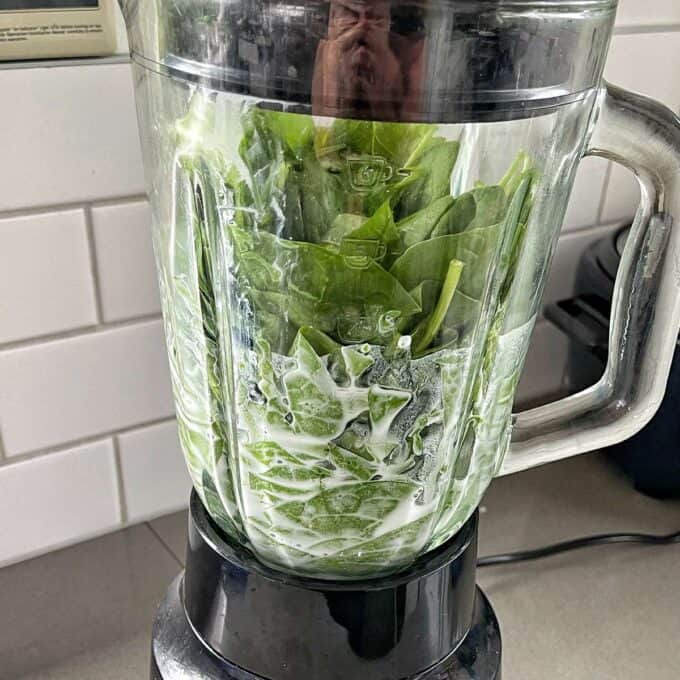 Spinach and coconut milk in a blender