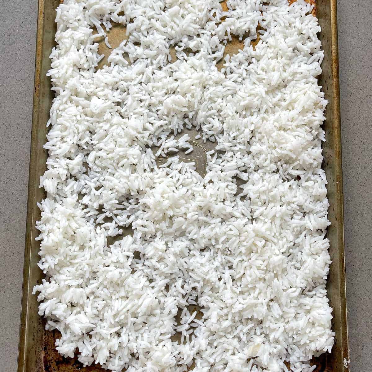 White rice spread out and cooling down on a baking tray.