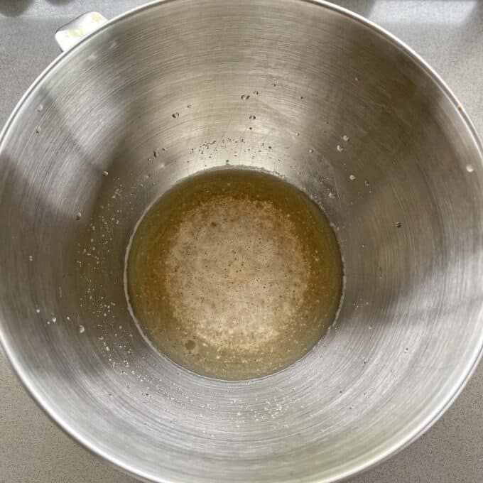 Yeast and water activating in the base of a stand mixer bowl.