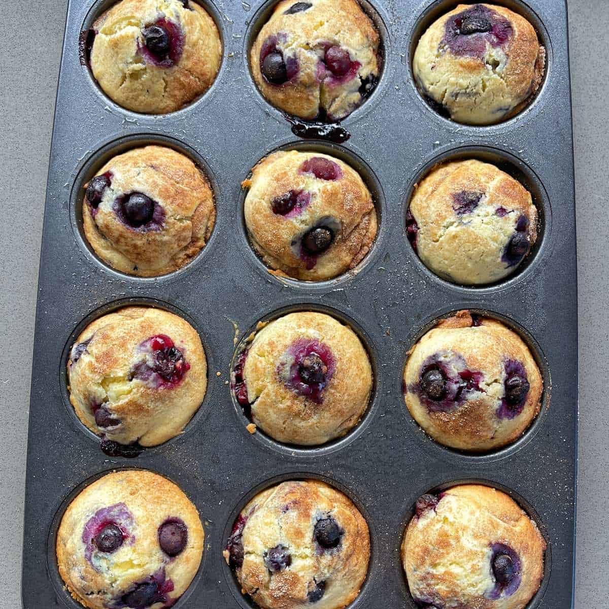 12 Cooked blueberry muffins still in the muffin tray on a grey bench top