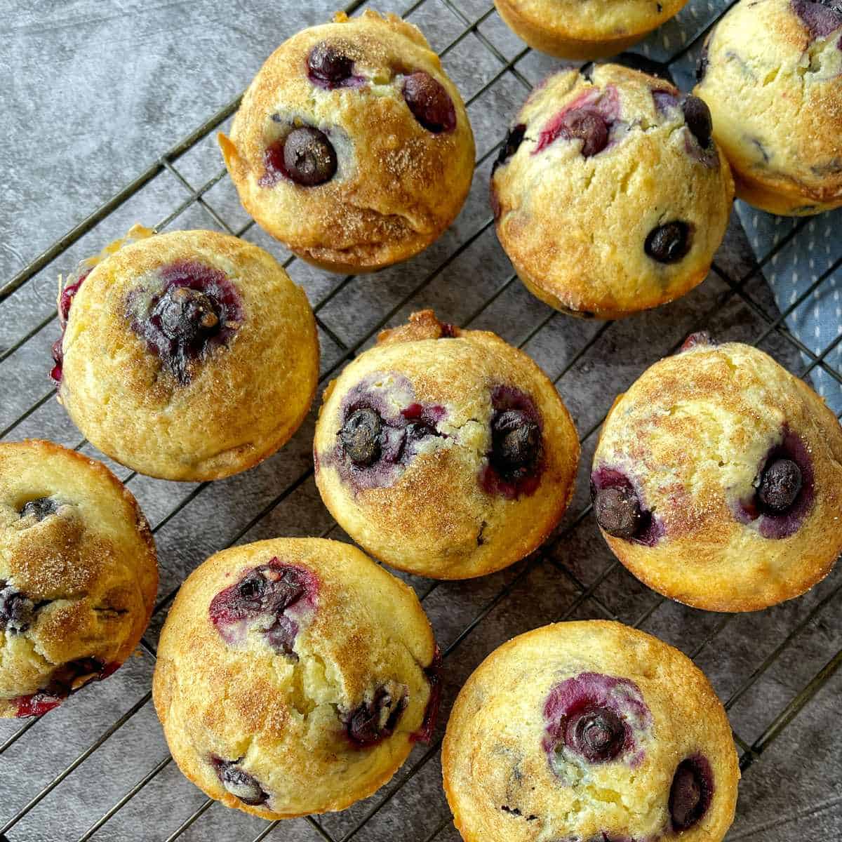 A selection of cooked blueberry muffins on a cooling rack.