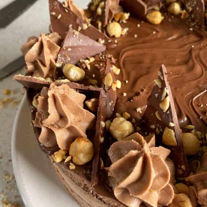 A close up of a Nutella gateaux with chocolate shards and roasted nuts.