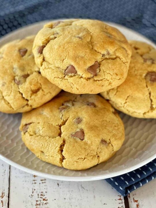 VJcooks_NewyorkCookie14-