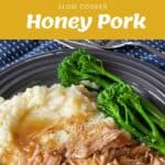 Ingredients for honey pork, pork cooking in a slow cooker, and a plated meal of shredded honey pork with mashed potatoes, gravy, and broccolini.