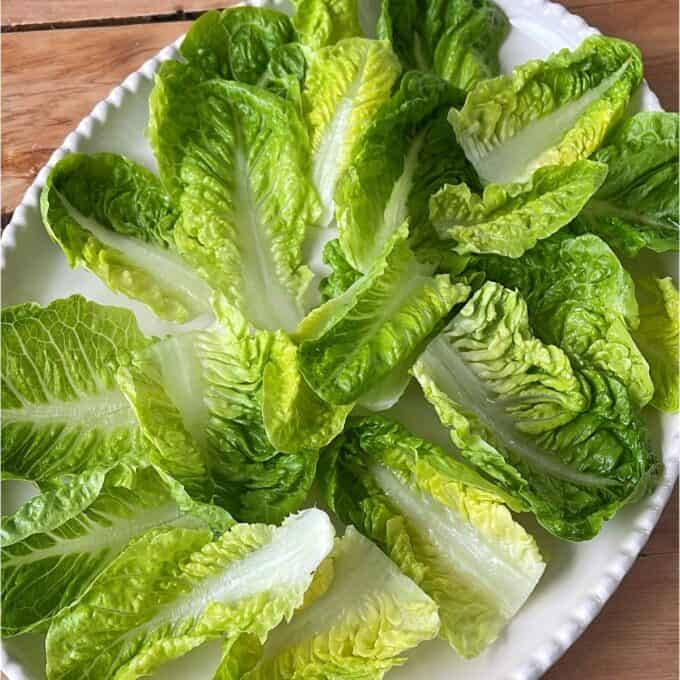 Green Goddess Avocado Salad A white plate filled with fresh romaine lettuce leaves arranged neatly on a wooden surface.