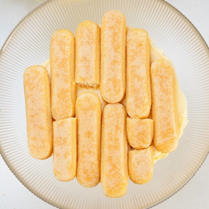 Limoncello Tiramisu Top view of ladyfinger biscuits arranged in a single layer on a plate.