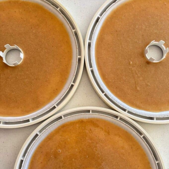 Feijoa Leather Three circular dehydrator trays filled with a smooth, light brown fruit puree, arranged closely together on a light surface.