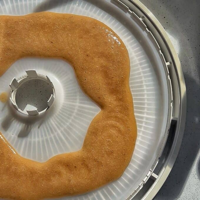 Feijoa Leather A thick, light brown puree spread in a ring on a round white dehydrator tray with a central hole, under bright lighting.