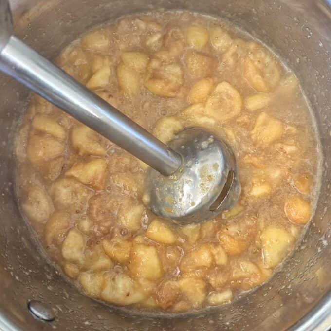 Feijoa Leather An immersion blender in a pot with cooked, chunky apples, likely being prepared for applesauce.