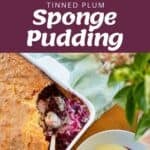 Top view of tinned plum sponge pudding ingredients, batter, baked dessert in a dish, and a serving with custard on a plate.