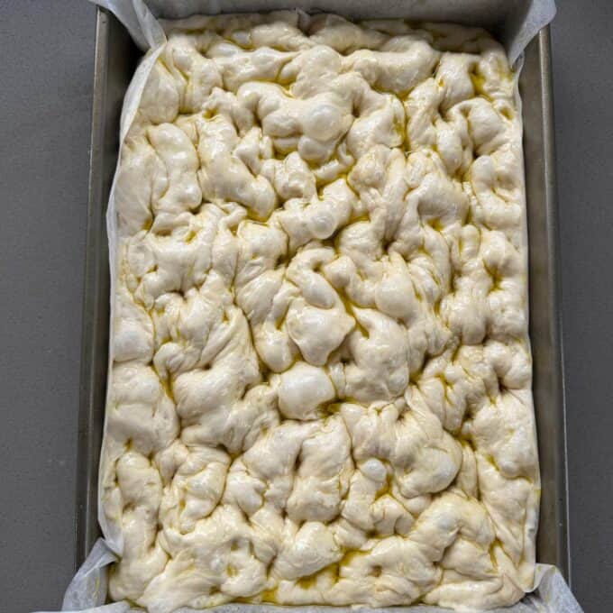 XL No-Knead Focaccia Raw focaccia dough in a rectangular metal baking pan, covered with dimples and drizzled with olive oil, ready for baking.