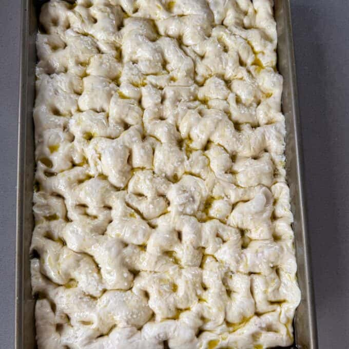 XL No-Knead Focaccia Rectangular pan filled with risen focaccia dough, dimpled and drizzled with olive oil, ready to be baked.