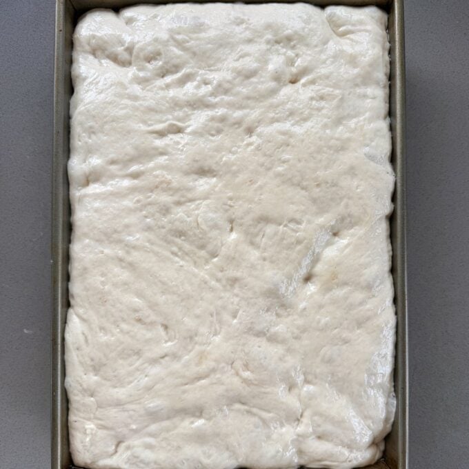 XL No-Knead Focaccia Rectangular metal pan filled with raw, risen dough, evenly spread out to the edges, ready for baking.