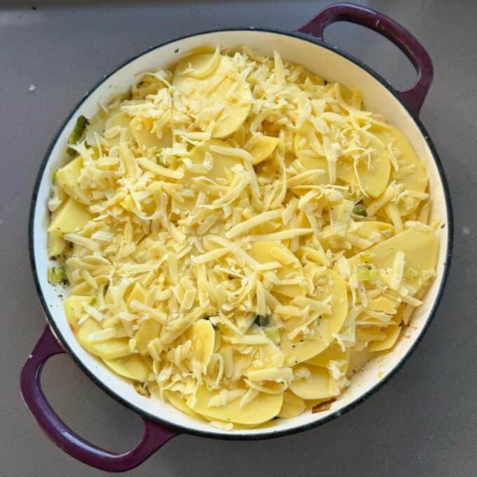 Potato Leek Gratin A round baking dish filled with sliced potatoes layered with grated cheese, ready to be baked, sits on a gray countertop.