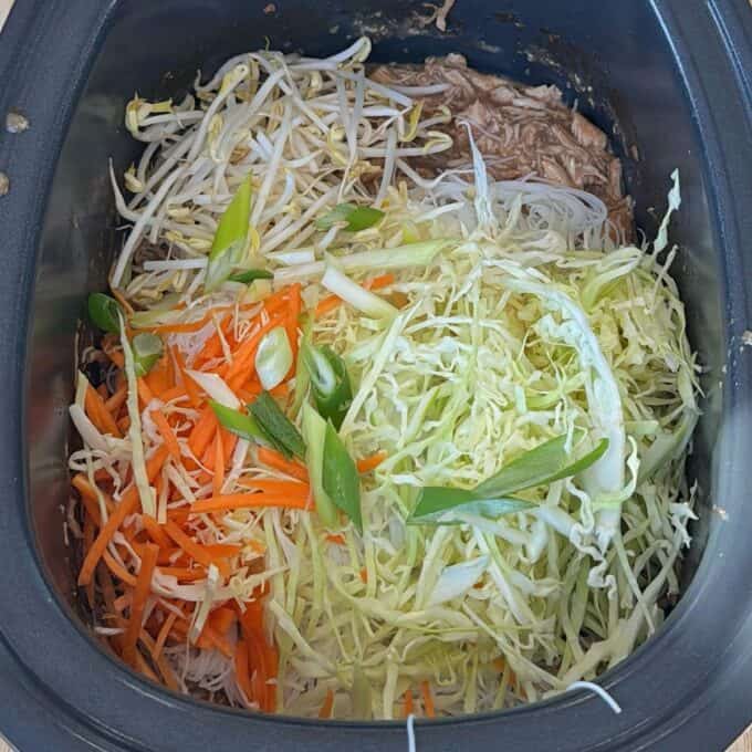 Slow Cooker Asian Style Chicken Shredded carrots, cabbage, bean sprouts, green onions, and rice noodles are placed inside a slow cooker with shredded meat and sauce.