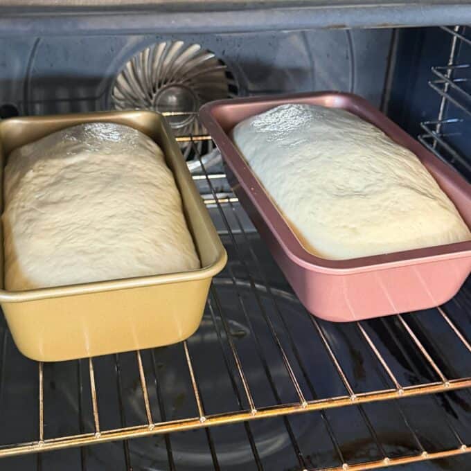 White Sandwich Bread Two loaf pans with risen bread dough sit side by side on an oven rack, ready to be baked.