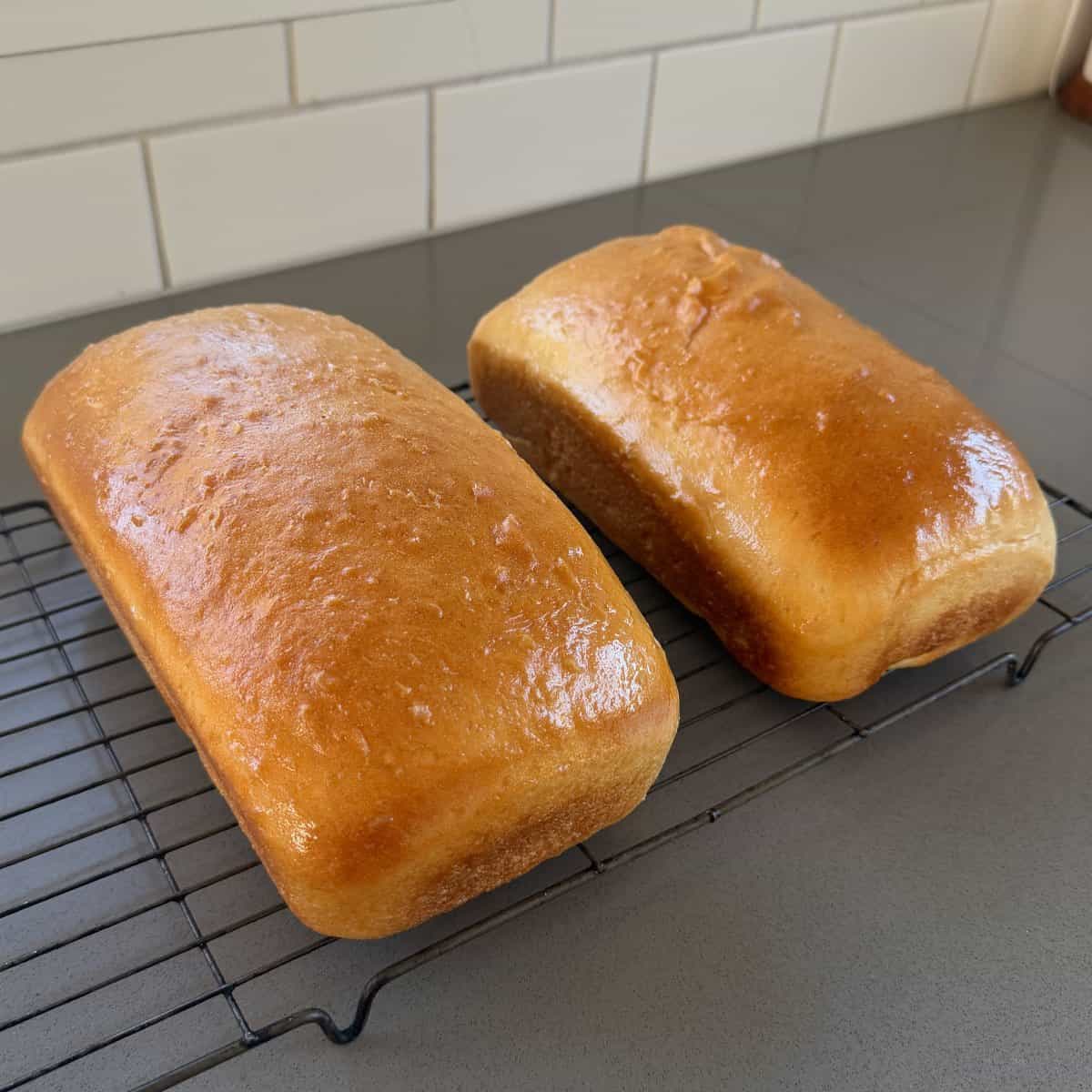 White Sandwich Bread Two golden brown loaves of bread cool on a black wire rack on a kitchen counter with white subway tile backsplash.