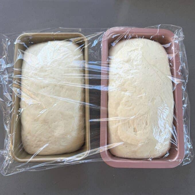 White Sandwich Bread Two loaf pans containing rising bread dough are covered with clear plastic wrap and placed side by side on a gray countertop.
